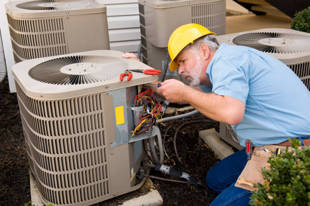 Best HVAC air duct cleaning  in Tangerine, FL